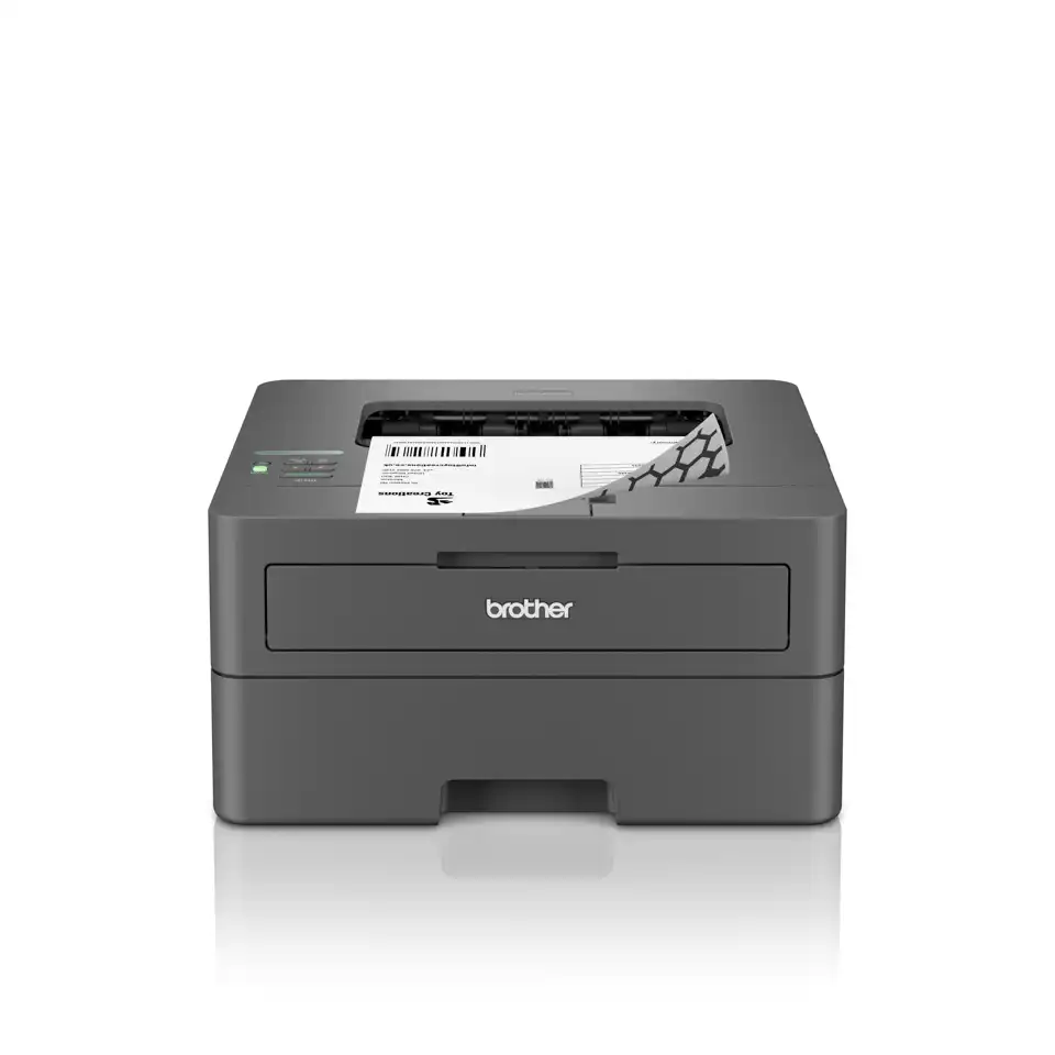 Brother HL-L2400DW Desktop Wireless Laser Printer